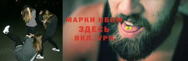 ПСИЛОЦИБИНОВЫЕ ГРИБЫ Костерёво