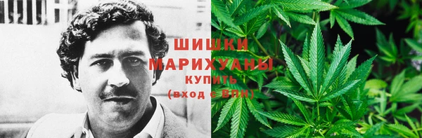 MESCALINE Коряжма